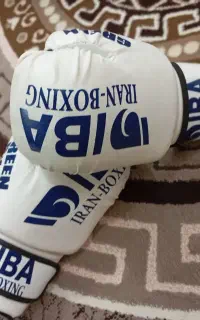 دستکش بوکس نو