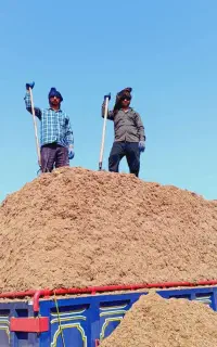 فروش کاه ملاسدار