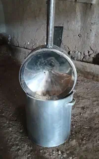 گلاب گیر وکنداسور