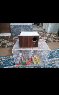 لوازم پرنده زیر قیمت