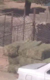 پرس یونجه