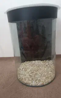 شیشه آکواریوم