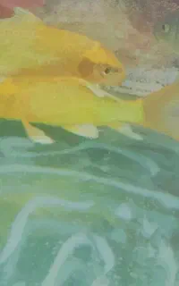 حراج دونه ای ۵۰۰ همش باهم تکی ندارم