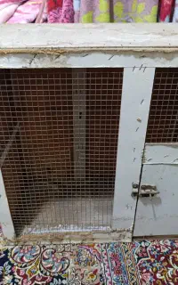 قفس چوبی محکم