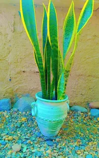 گلدان پتینه ای طرح جدید