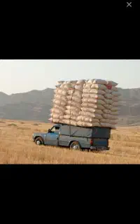 خرید و فروش کاه