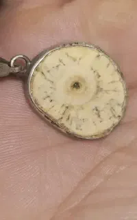 مهره اصل