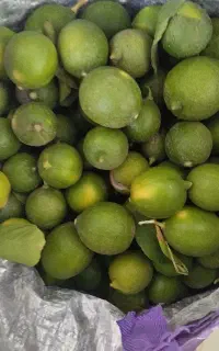 لیمواب دار