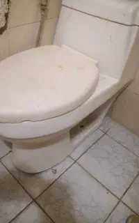 توالت فرنگی