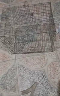 قفس پرند