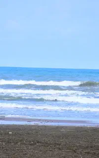 استخدام عکاس محیطی