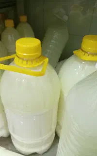 دوغ فله. وبطری وچکیده ترش و پنیر لاکتیکی