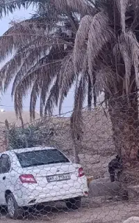 صب میرم زاهدان