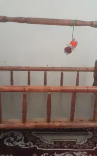 گهواه بچه نو نو