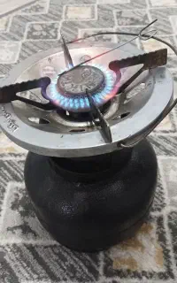 پیک نیک در حد نو