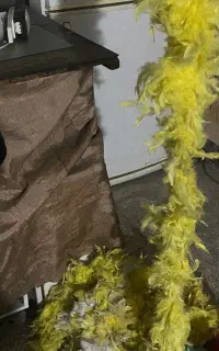 پر چهلچراغ