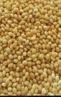 ارزن درجه یک