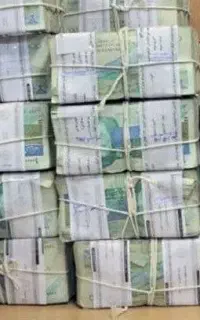 کار در منزل تایپ ادمین دایرکتر گوینده ترجمه