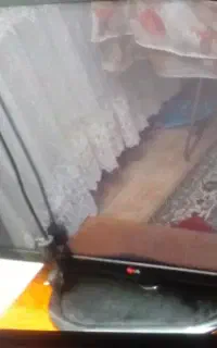 تلویزیون