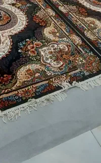 پالاز طوسی تمیز تمیز
