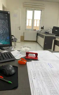 رئیس حسابداری مسلط به سپیدار