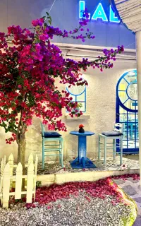 استخدام ۲پرسنل خانم برای آشپزی و باریستایی کافه