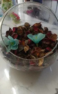 دو عدد تنگ بزرگ