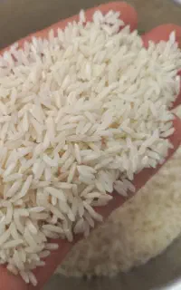 پخت آسان. برنج هاشمی شمال