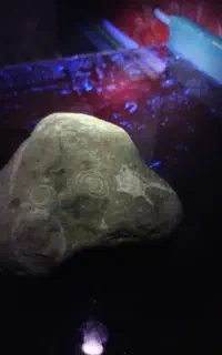 سنگ فسیل حلزون وزینتی