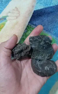 تعدادی شهاب سنگ
