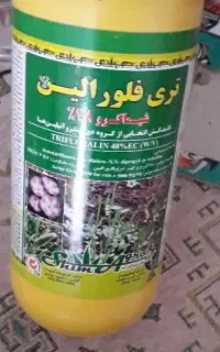 سم تری فلورالین(علف کش)