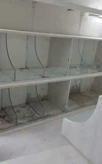 دکور آجیل فروشی