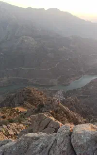 استخدام باغبان