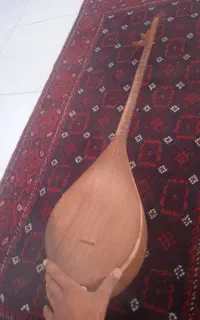 دوتار سالم کاسه بزرگ