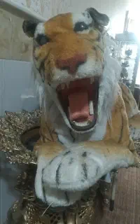 ببر باطری خور غرش کن
