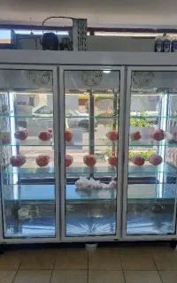 یخچال و وسایل مرغ فروشی