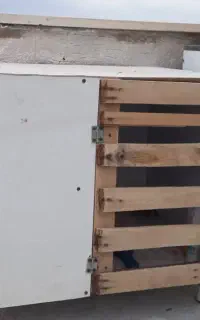 جفت کن کبوتر