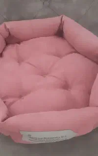 جا خواب گربه