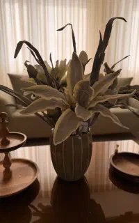 فروش گل و گلدان