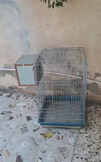 قفس پرنده همرا با لانه