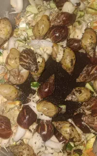 حلزون