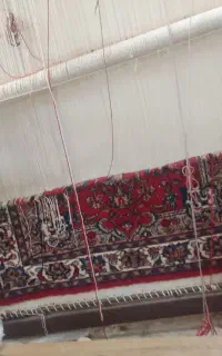 دار قالی همراه با قالی