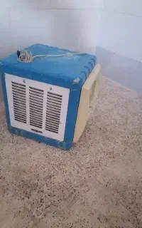 کولرابی کوچک