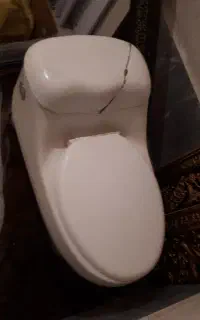 توالت فرنگی