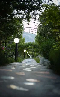 باغ مازیار کهیان