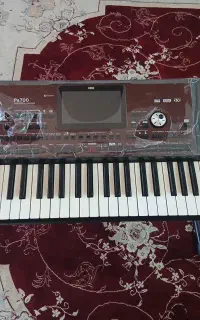 ارگ pa700