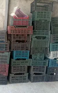 ۶۰ تا سبد دونه ۱۵
