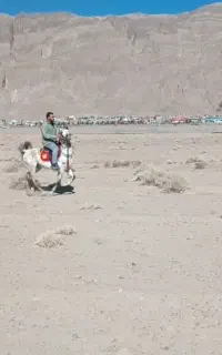 مادیان کرد سواری معرکه