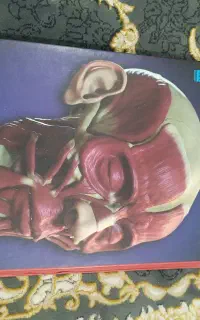 کتاب بدن انسان مخصوص رشته تجربی