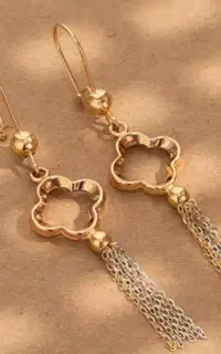 یه لنگه گوشواره ومدال زنجیر طلا پیدا کردم